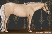 Horse Color:Silver Buckskin Pearl 