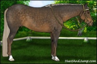 Horse Color:Chocolate Palomino 