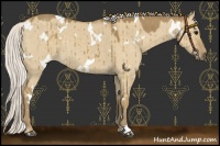 Horse Color:White Spotted Silver Smoky Grullo 