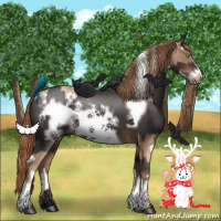 Horse Color:White Spotted Liver Chestnut Pearl and Liver Chestnut Frame