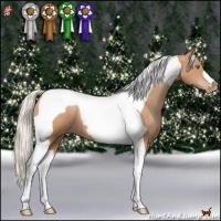 Horse Color:Silver Bay Pearl Tobiano 
