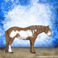 Horse Color:Chocolate Palomino Frame 