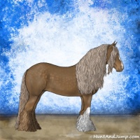 Horse Color:Chocolate Palomino