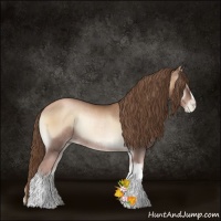 Horse Color:Liver Red Onyx Pearl Rabicano 