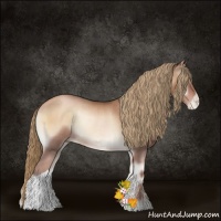 Horse Color:Liver Red Onyx Pearl Rabicano