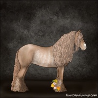 Horse Color:Liver Chestnut Pearl Rabicano