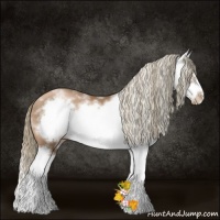Horse Color:White Spotted Liver Chestnut Pearl Splash Frame Rabicano