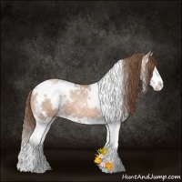 Horse Color:White Spotted Brown Ice Pearl Splash 