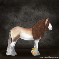 Horse Color:Brown Pearl Onyx Splash