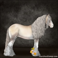 Horse Color:White Spotted Chocolate Palomino Pearl Onyx Sabino Rabicano