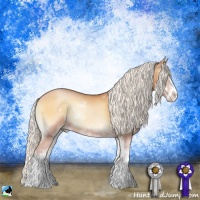 Horse Color:Silver Bay Pearl Onyx Sabino Rabicano 