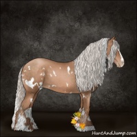 Horse Color:White Spotted Silver Brown Pearl Sabino 