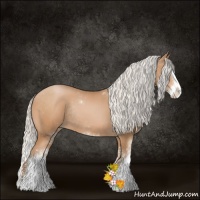 Horse Color:Silver Brown Pearl Sabino Splash Rabicano 
