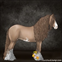 Horse Color:Black Pearl Sabino