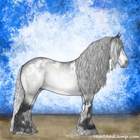 Horse Color:White Spotted Silver Brown Chinchilla Rabicano