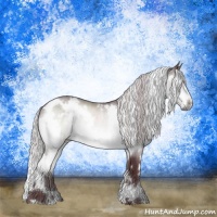 Horse Color:White Spotted Chocolate Silver Brown Chinchilla Rabicano 