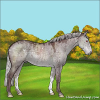 Horse Color:White Spotted Chocolate Silver Grullo Chinchilla Brindle