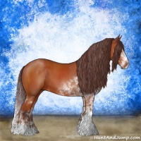Horse Color:Chocolate Brown Sabino