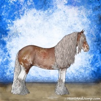 Horse Color:Chocolate Silver Brown Sabino Splash Rabicano