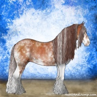 Horse Color:Chocolate Brown Sabino Splash Rabicano