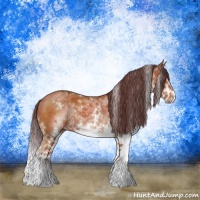 Horse Color:White Spotted Chocolate Brown Sabino Splash Rabicano