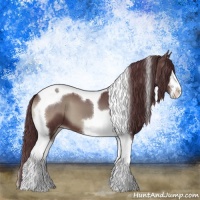 Horse Color:Chocolate Blue Onyx Sabino Tobiano Appaloosa