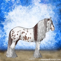 Horse Color:Chocolate Brown Sabino Appaloosa