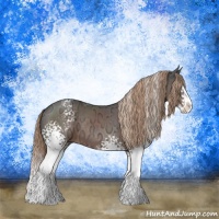 Horse Color:White Spotted Liver Chestnut Ice Splash Rabicano