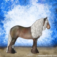 Horse Color:Liver Chestnut Mushroom Rabicano 