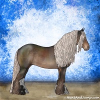 Horse Color:Liver Chestnut Mushroom Rabicano 