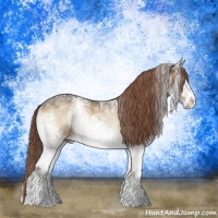 Horse Color:White Spotted Liver Red Onyx Ice Rabicano