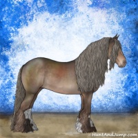 Horse Color:Liver Chestnut Mushroom Rabicano