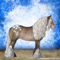 Horse Color:Liver Chestnut Mushroom Appaloosa Rabicano 