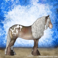 Horse Color:Liver Chestnut Mushroom Blanket Rabicano 