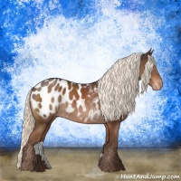 Horse Color:Liver Chestnut Mushroom Appaloosa Rabicano 