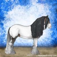 Horse Color:Brown Ice Onyx Sabino Appaloosa