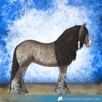 Horse Color:Liver Red Onyx Ice Sabino Rabicano