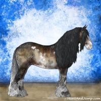Horse Color:Brown Ice Onyx Sabino Rabicano 