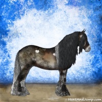 Horse Color:Brown Ice Onyx Sabino Rabicano