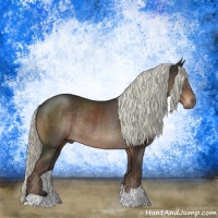 Horse Color:Liver Chestnut Mushroom Rabicano