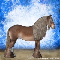 Horse Color:Liver Chestnut Mushroom Rabicano 