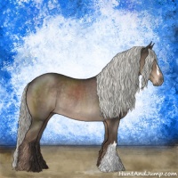 Horse Color:Liver Chestnut Mushroom Rabicano 