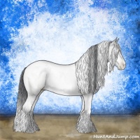 Horse Color:White Spotted Brown Chinchilla Pearl Tobiano Rabicano 