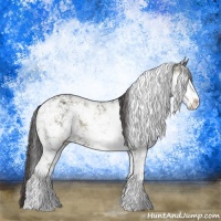 Horse Color:Buckskin Chinchilla Ice Sabino