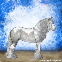 Horse Color:White Spotted Silver Grullo Chinchilla Tobiano