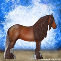 Horse Color:Chocolate Brown Rabicano 