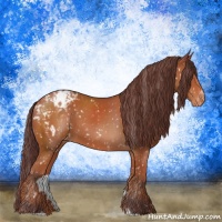 Horse Color:Chocolate Brown Sabino Appaloosa 