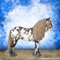 Horse Color:Liver Red Onyx Ice Appaloosa Rabicano