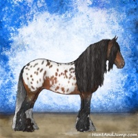 Horse Color:Brown Appaloosa