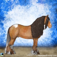 Horse Color:Buckskin Sabino Appaloosa